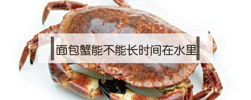 面包蟹能不能長時(shí)間在水里
