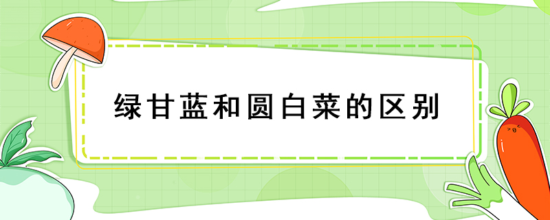 綠甘藍(lán)和圓白菜的區(qū)別