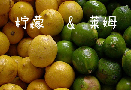 萊姆圖片，萊姆的功效與作用，萊姆營養價值