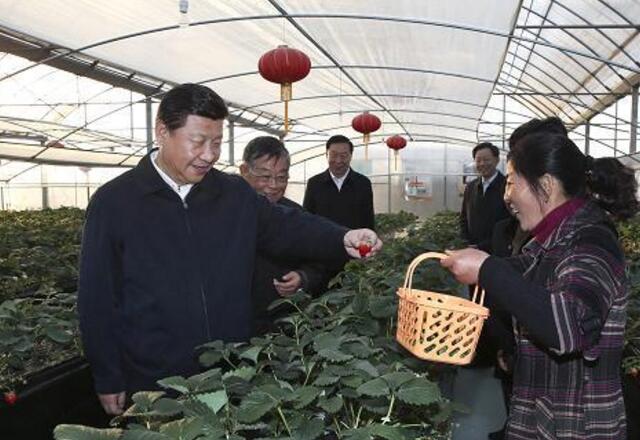 四季草莓一年結(jié)幾次果 四季草莓的種植方法