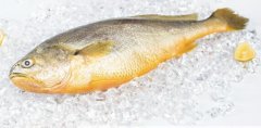 黃魚多少錢一斤，不同品種的黃魚價