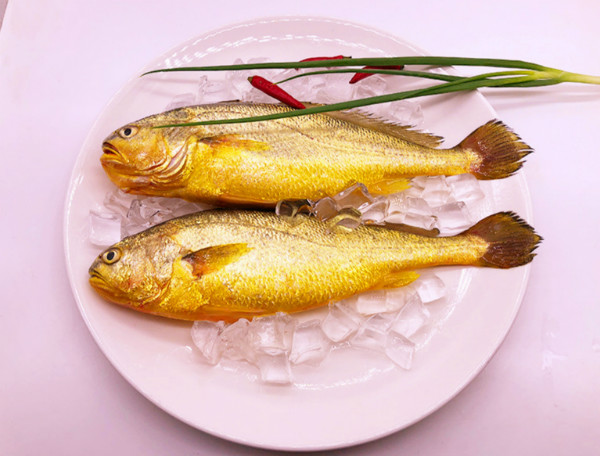 黃魚多少錢一斤，不同品種的黃魚價格都不等