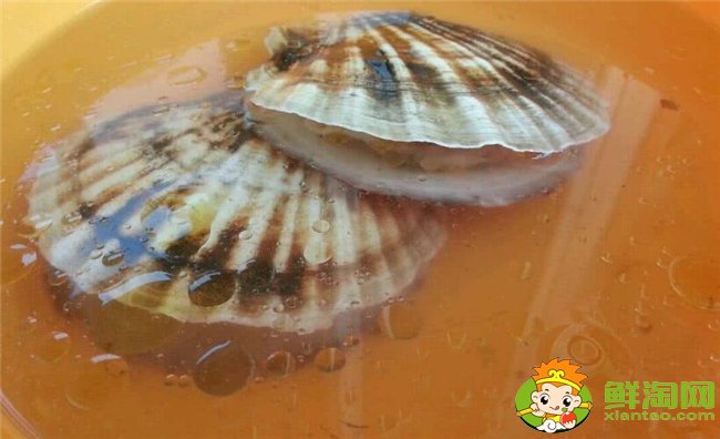 扇貝怎么洗干凈，扇貝肉怎么洗干凈(去除內臟用鹽水生粉唰一唰)