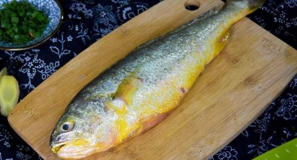 大黃魚和黃花魚的區(qū)別