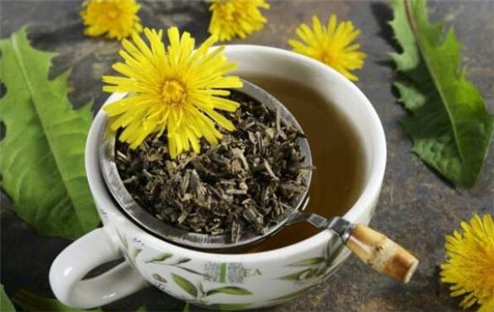 蒲公英茶的功效與作用及禁忌，蒲公英茶對(duì)女性的作用