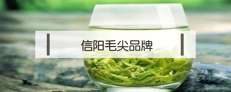 信陽(yáng)毛尖品牌