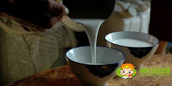 國(guó)家品牌駱駝奶哪個(gè)最好，國(guó)產(chǎn)最好駱駝奶粉品牌