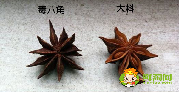 和八角味道一樣的香料是什么，毒八角和大料的區別