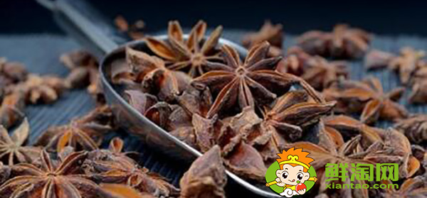 八角茴香產(chǎn)地都是哪里,八角茴香產(chǎn)地主要分別在什么地方
