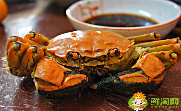 大閘蟹與螃蟹有什么區(qū)別，大閘蟹小孩能不能吃