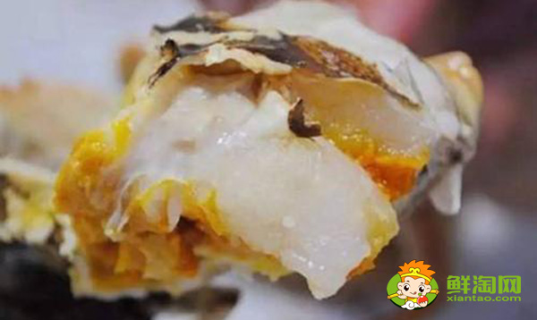 蟹膏長什么樣子的圖片，面包蟹的蟹膏蟹黃是什么