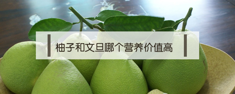 柚子和文旦哪個營養(yǎng)價值高