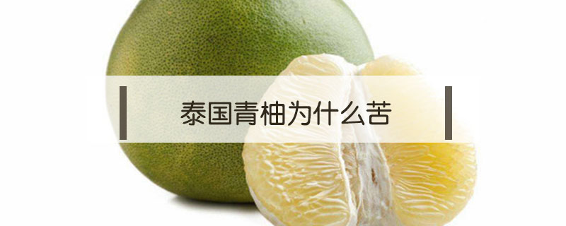 泰國(guó)青柚為什么苦