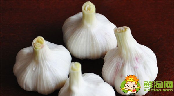 大蒜和冰糖煮水真的治咳嗽嗎，大蒜的功效與作用