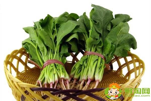菠菜賤賣(mài)是什么梗,網(wǎng)絡(luò)語(yǔ)菠菜是什么意思