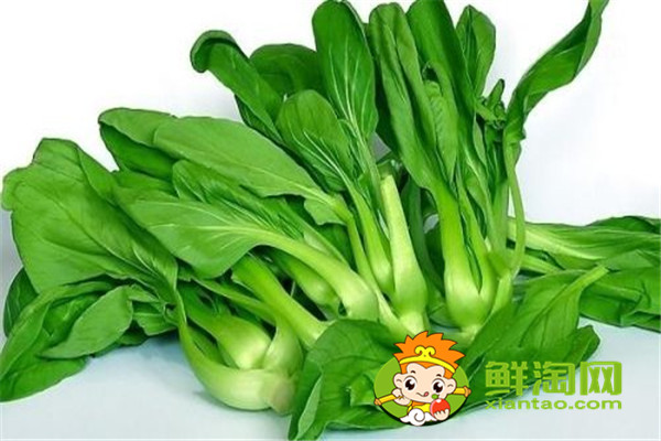 小青菜開水燙過能隔夜嗎,開水燙青菜有營養嗎