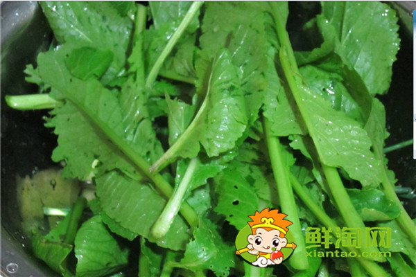 小青菜開水燙過能隔夜嗎,開水燙青菜有營養嗎