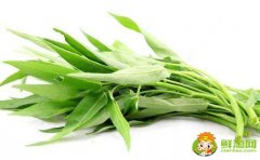 空心菜怎么擇菜，空心菜為什么不用