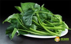 空心菜需要切斷嗎，炒空心菜幾分鐘熟