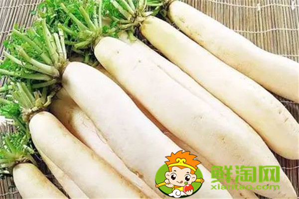 冬天種什么菜比較好,這五種蔬菜不在家中一些可惜了