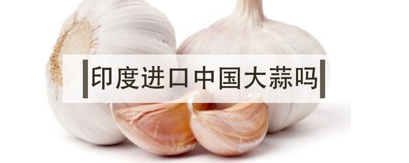 印度進(jìn)口中國(guó)大蒜嗎