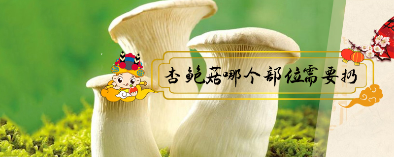杏鮑菇哪個(gè)部位需要扔